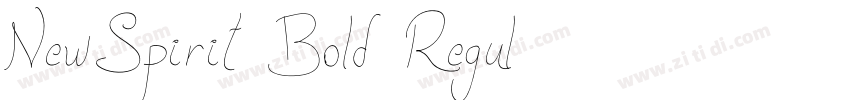 NewSpirit Bold Regul字体转换